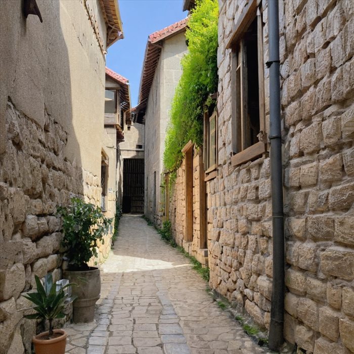 Vieux-Cachan : Patrimoine et Vie Locale Révélés