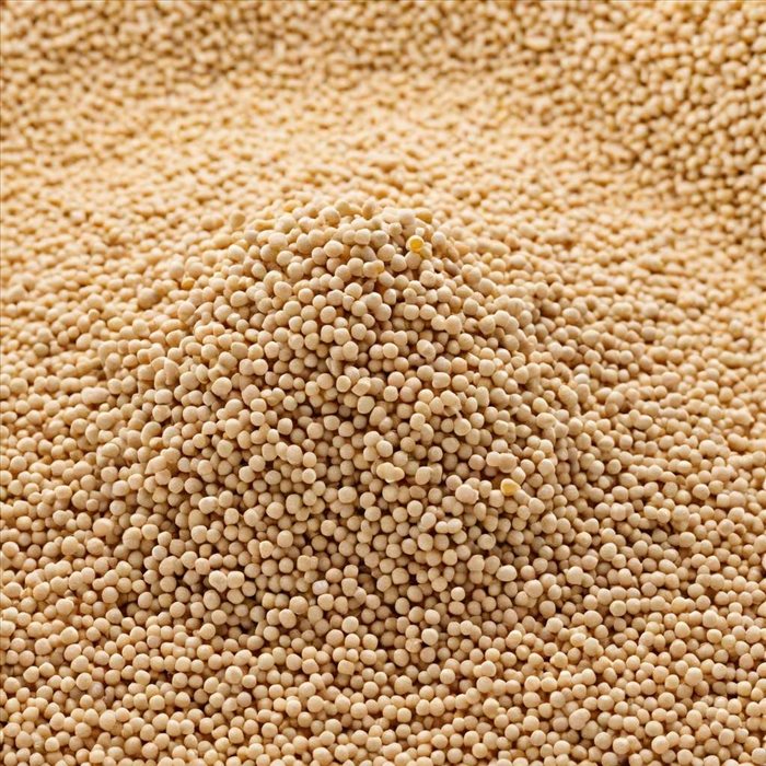 Top 10 des Meilleures Marques de Poêles à Granulés : Guide Complet