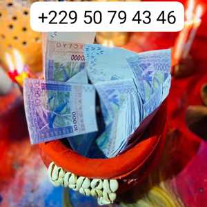 +229 50 79 43 46 DEPUIS LAFRIQUE ET LEUROPE OBTENEZ LE VRAI PORTEFEUILLE MAGIQUE DARGENT SANS CONSEQUENCE , un brocanteur à Saint-Denis