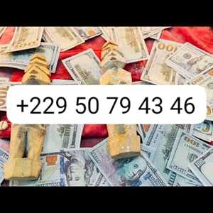 MULTIPLICATION DARGENT RAPIDE EN DOLLARD +229 50 79 43 46, un expert en débarras à Le Moule