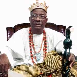 Samba, un chineur à Compiègne