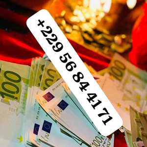 LE VRAI PORTEFEUILLE MAGIQUE, +229 56 84 41 71 LE PORTEFEUILLE MAGIQUE EXISTE VRAIMENT ?, un brocanteur à Fort de France